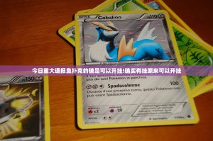 今日重大通报鱼扑克的确是可以开挂!确实有挂原来可以开挂