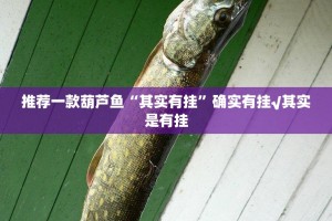 推荐一款葫芦鱼“其实有挂”确实有挂√其实是有挂