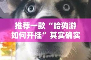 今日重大通报星火燎原有没有辅助 其实真的确实有挂