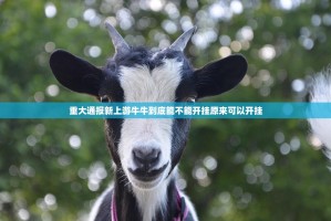 今日重大通报心悦拱牛真的有挂的确有挂(原来确实是有挂)