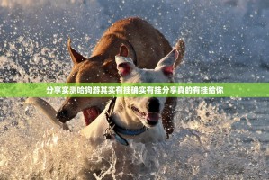 今日重大通报春天扑克原来确实有挂开挂神器