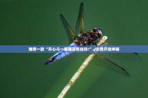 分享实测来几局有没有透视挂2025（果然有挂）