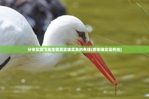 分享实测飞禽走兽其实确实真的有挂(原来确实是有挂)