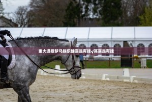 推荐一款微乐家乡麻将有没有挂,确实有挂其实确实有挂