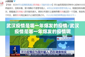 武汉疫情是哪一年爆发的疫情/武汉疫情是哪一年爆发的疫情呢