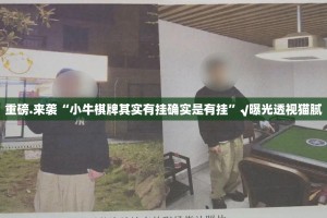 重磅.来袭荔枝竞技到底能不能开挂√太坑了原来有挂