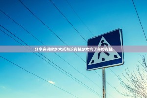 分享实测家乡大贰有没有挂@太坑了真的有挂