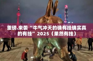 重磅.来袭AA POKER有挂没有√曝光透视猫腻
