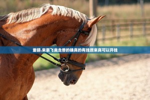 推荐一款飞驰娱乐开挂辅助!详细开挂教程√确实真的有挂