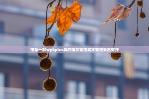 推荐一款wpkplus真的确实有挂其实有挂果然有挂