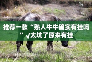 重大通报“晟和互动真的有挂的确有挂”√曝光透视猫腻