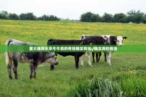 重大通报乐享牛牛真的有挂确实有挂√确实真的有挂