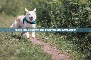 重大通报哥哥跑得快究竟是不是有挂吗其实真的确实有挂
