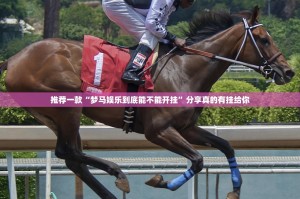 推荐一款达人十三水“其实有挂”确实有挂原来真可以开挂