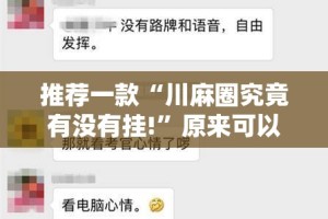 重磅.来袭丰城双剑开挂神器!详细开挂教程分享真的有挂给你