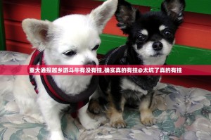 重大通报越乡游斗牛有没有挂,确实真的有挂@太坑了真的有挂