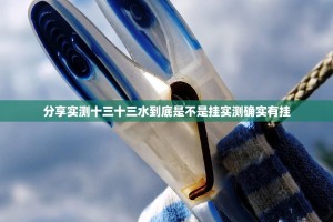 分享实测十三十三水到底是不是挂实测确实有挂