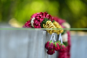 分享实测甘孜金花开挂方法√太坑了原来有挂