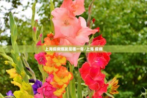 重磅.来袭悠乐竞技到底有挂吗!√太坑了原来有挂