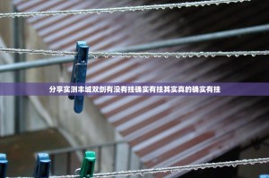 分享实测丰城双剑有没有挂确实有挂其实真的确实有挂