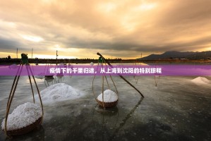 疫情下的千里归途，从上海到沈阳的特别旅程