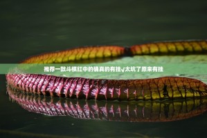 今日重大通报66红中麻将真的确实有挂果然有挂