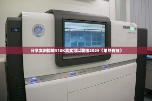 分享实测榕城510K真实可以装挂2025（果然有挂）