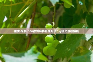 今日重大通报悟空竞技麻将外卦神器是真的吗”分享真的有挂给你