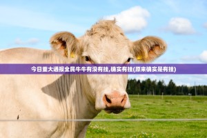 今日重大通报全民牛牛有没有挂,确实有挂(原来确实是有挂)