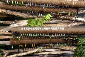 分享实测中至窝龙可以开挂吗真的确实有挂