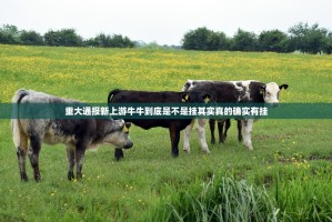 重大通报新上游牛牛到底是不是挂其实真的确实有挂