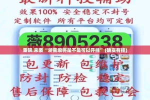 重磅.来袭“浙衢麻将是不是可以开挂”(确实有挂)