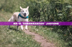 推荐一款“哥哥跑得快其实能开挂吗”√必胜开挂神器
