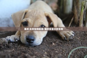 【浙江省疫情政策汇总最新/浙江省疫情政策汇总最新消息】