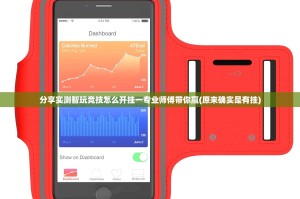 分享实测智玩竞技怎么开挂一专业师傅带你赢(原来确实是有挂)