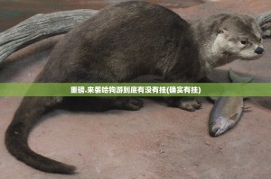 重磅.来袭哈狗游到底有没有挂(确实有挂)