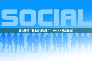 重大通报“新全游挂软件””2025（果然有挂）