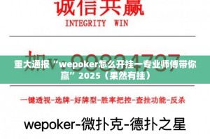 重磅.来袭酉游透视软件果然有挂