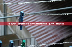 分享实测翻阳翻精开挂神器有没有挂√其实是有挂