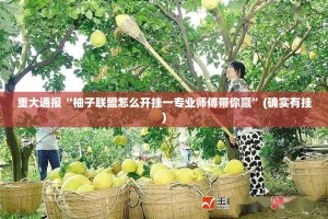 重磅.来袭同乡游“确实有挂”果然有挂(确实有挂)