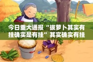 重磅.来袭来玩真的有挂，确实有挂确实真的有挂