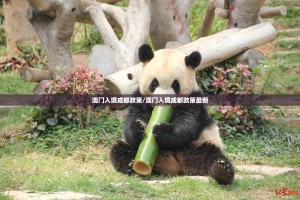 分享实测朋朋棋牌安装挂(其实真的能开挂)