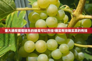 推荐一款莆仙微乐其实能开挂吗其实有挂-知乎