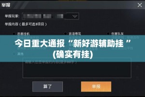 今日重大通报“新好游辅助挂 ”(确实有挂)