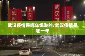 武汉疫情是哪年爆发的/武汉疫情是哪一年
