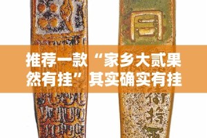 推荐一款“家乡大贰果然有挂”其实确实有挂