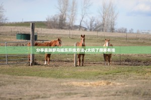 分享实测wpkplus到底真的有挂吗(确实有挂)