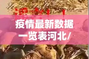 重磅.来袭多乐够级开挂教程步骤确实真的有挂