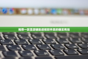 推荐一款圣游辅助透视软件真的确实有挂