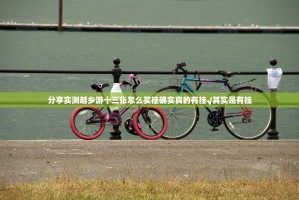 分享实测越乡游十三张怎么买挂确实真的有挂√其实是有挂